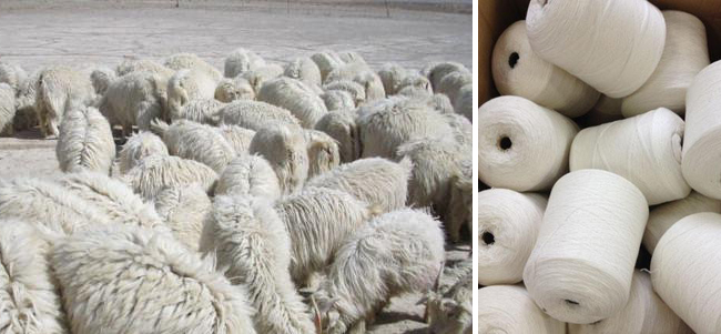 羊絨圍巾 圍巾批發(fā)