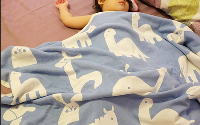 毛毯批發(fā)市場,在線詢價(jià) 羊毛毯圖